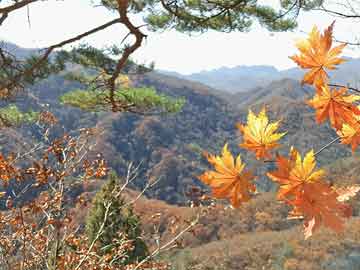 打胎药哪里能买到意外怀孕咨询强震过后 德雷克海峡余震频发