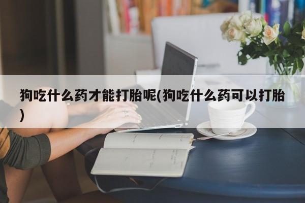 打胎药哪里能买到意外怀孕咨询狗吃什么药才能打胎呢(狗吃什么药可以打胎)