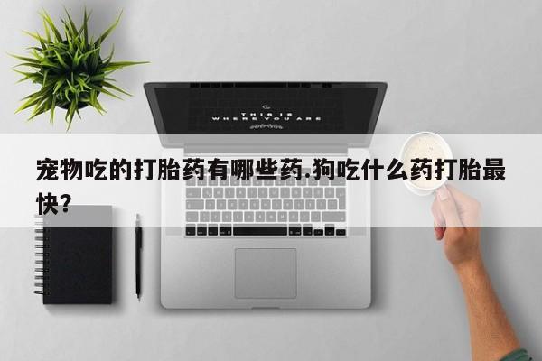 打胎药哪里能买到意外怀孕咨询宠物吃的打胎药有哪些药.狗吃什么药打胎最快？